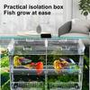 Akvarium Kläckningslåda Isolering Fiskodling Kläckning Avdelare Genomskinlig Flera Fack Design Fiskodling Isolationslåda för Clownfisk Aggressiv Fisk