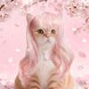Golvende Hondenpruik Leuke Huisdierenpruik met Verstelbaar Elastisch Band Lang Golvend Haar met Pony Kattenpruik Kostuum voor Cosplay Halloween Kerstfeesten