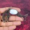 Rainbow Moonstone Pendant Fish Design Pendant Copper Wire Wrap Gemstone Jewelry
