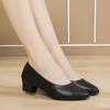 Fashion New Women Pointed Toe Pumps Solid Color High Heels Shoes Women Concise Office Lady Daily Party Footwear 2024 New 695