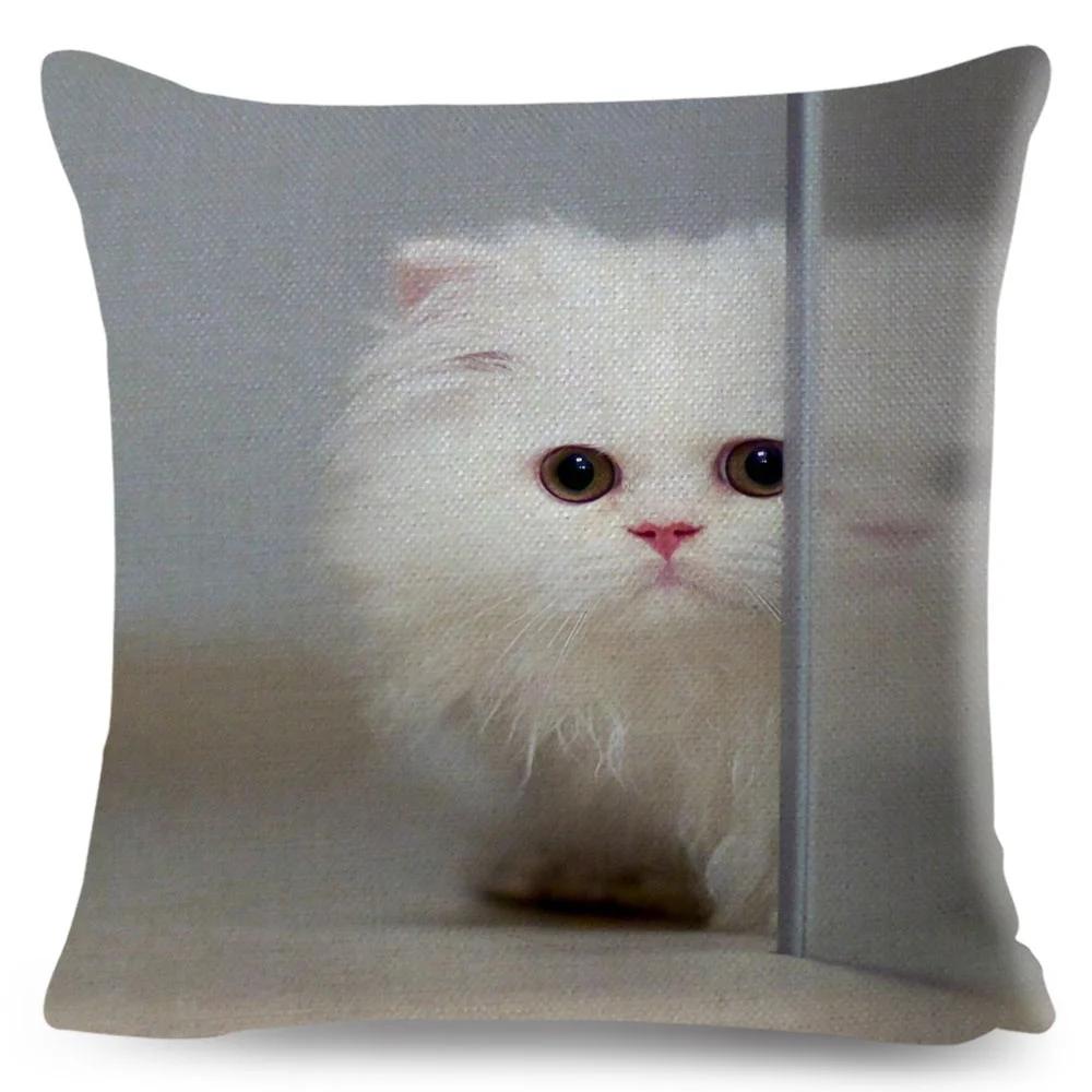 Funny Cute Cat Cushion Cover Decor Lovely Pet Animal Print Pillowcase Polyester Throw Pillow Case for Sofa Home Car 45x45cm