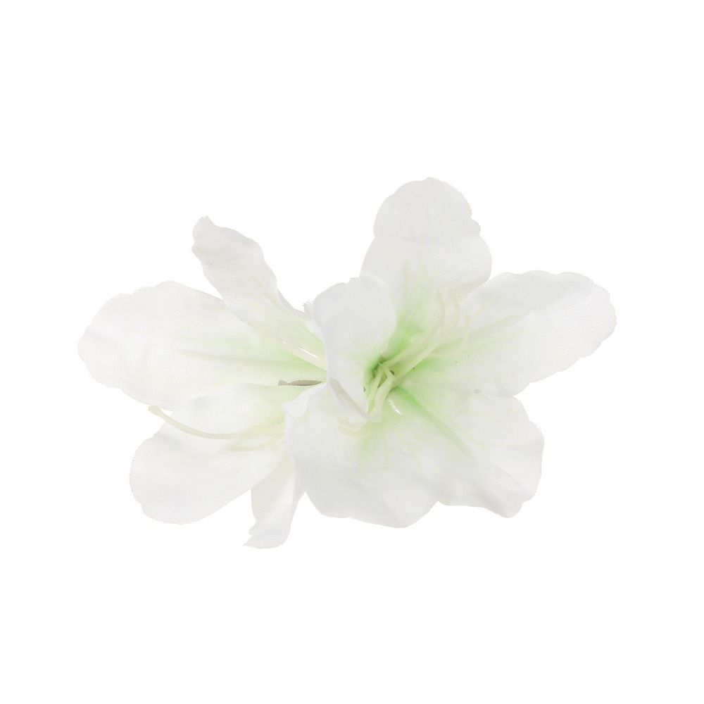 Canna Hairpins Beach Barrette Gladiolus Bohemia Flower Hair Clips  Women