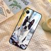 French Bulldog Dog Case For Realme C71 C75 C61 C53 C55 C33 C63 C51 C65 C67 11 12 13 14 Pro Plus GT6 GT7 15 Pro