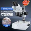 Microscope Stéréoscopique Binoculaire AOSVI
