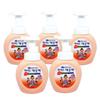 Hand Wash / Moisturizing Peach Scent 250ml X 5