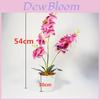 Phalaenopsis Artificial Plant With Pvc Material For Home Decor And Gift Presentations