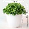1 Pcs Artificial Green Plants Phoenix Potted Simulation Grass Ball Home Living Room Decoration Festival Party Office Ornaments