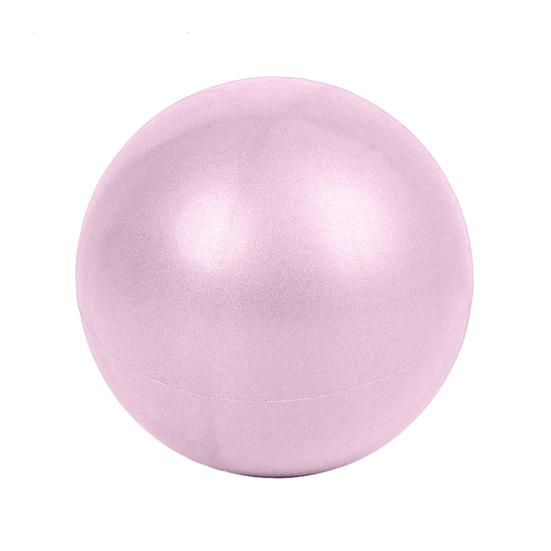9.8 Inch Herding Ball for Dogs Pet Inflatable Ball Toy Interactive Play Exercise Ball Promotes Physical Health for Small Medium Pets
