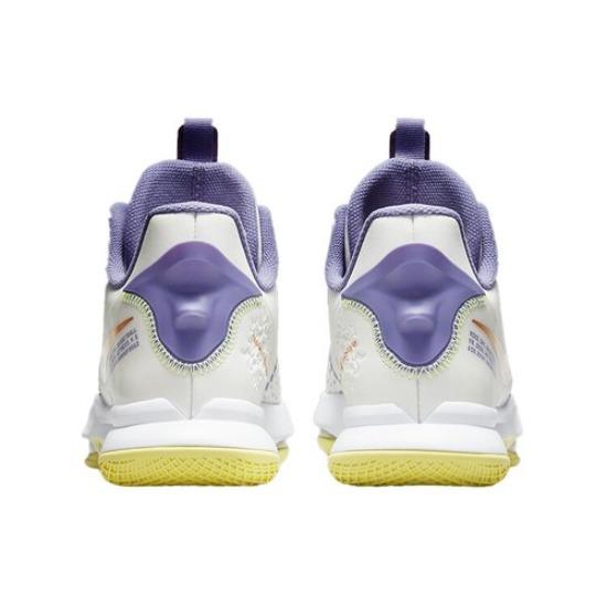 Nike LeBron Witness Alb Summit Bronz Metalic 2021 - CQ9381-102