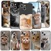 Niedliche Katzen-Handyhülle mit heilendem Motiv für iPhone 17, 16, 15, 14, 13, 12, 11, Pro Max und Plus – Doppellagiger Schutz