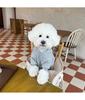 Winter Hoodie Pet Clothing Dogs Fashion Plush Dog Clothes Costume Small French Bulldog Puppy Clothing Spring Autumn Boy Mascotas