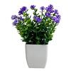 Umbra Studio Simulated Potted Plants, Mini Eucalyptus And Camellia Buds Plant, Maintenance-Free Fake Plants for Desktop Windowsill Balcony Decor