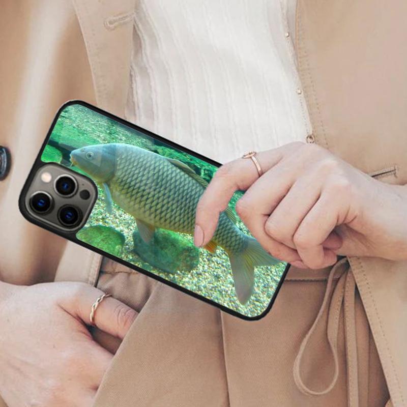 Common-Carp Magnetic Phone Case For APPLE iPhone 17 Air 16 14 13 12 Pro Max 15 Plus Wireless Charge With MagSafe Cover