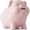 LUME PORC Pungă de economii Porcușor pentru Adulți Trebuie Sparsă pentru a Deschide, Ceramică, Cutie de Bani pentru Fete Băieți Borcan pentru Monede, Mini Seif Roz pentru Copii, Bancă de Economii pentru Adulți, alcancias de