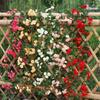 Artificial Plastic Flower Vine for Pipe and Ceiling Decoration