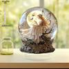 2D Flat Acrylic Fairy Snowball Decoration, Indoor and Outdoor Decoration - No Battery/electricity Required, Free Day Decoration, Shop Decoration,
