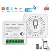 Mini Wifi DIY 1-way Remote Control Timer Relay Automation Smart Life Compatible With Alexa-16AAdvanced.