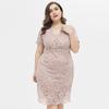 Women's Plus Size Relax Fit Shift Dress Floral Lace Scalloped V Neck Short Sleeve Midi Cocktail Party Wear Daily Work Office Occasion Outfits XL-4XL