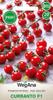 Curranto Tomato (F1) 20 Pcs. Tomato Seeds -