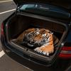 1Pcs Tiger Print Car Trunk Mat Non-Slip Heavy-Duty Cargo Liner for SUVs Sedans Trucks  Protects Against Pets Protective Cover