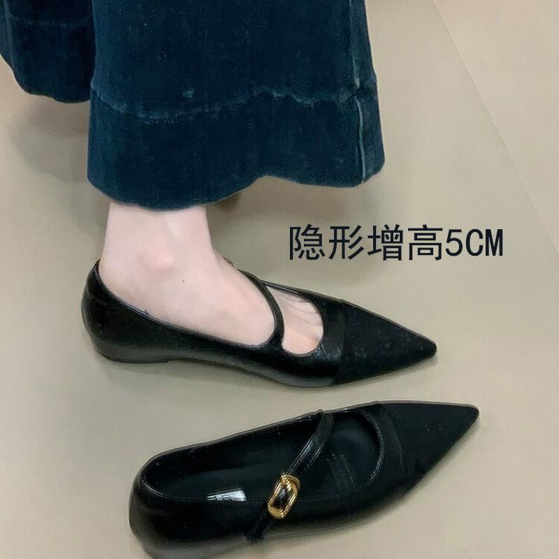 Fashion New Style Popular Pointed Toe Women Mary Janes Shoes Fashionable Shallow Buckle Shoes Ladies Casaul Dress Low Heel Leather Shoes