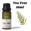 Ananta Tea Tree Essential Oil 10 Ml | Melaleuca Alternifolia Aromatic Oil | Fresh Herbal Essential Oil
