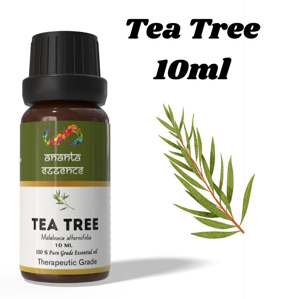 Ananta Tea Tree Essential Oil 10 Ml | Melaleuca Alternifolia Aromatic Oil | Fresh Herbal Essential Oil