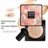 Creme de beleza cosméticos almofada de ar cogumelo esponja cabeça cc corretivo hidratante maquiagem bb creme