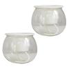 Self Watering Plant Pot Flower Pot with Transparent Reservoir Clear Self Watering Planter for Indoor Plants Flowers African Violets