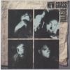 CD NEW GRASS REVIVAL  Friday Night In America SMD19892 Southern Music  2001 US CountryFolk Used