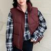 Warme Dames Winterjas Mode Opstaande Kraag Losse Herfst Dikke Mouwloze Parka Vrouwelijke Korte Bovenkleding