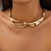 Dámský robustní náhrdelník Jemný choker náhrdelník Hypoalergenní choker Šperk Dárek pro ni k narozeninám Výroční dárek
