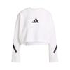 Casual Comfortable Simple Pullover Sweatshirt Women Sweatshirt White JW1759