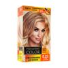 "PERMANENT COLOR" Professional Hair Coloring 24 Types of Shades Your Hair Care 3D Touch