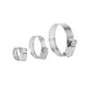 Lijiu Hong 304 Stainless Steel Adjustable Hose Clamps 46-70mm (10-Pack)
