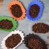 Plastic Sample Display Tray 22.3x13x3.5cm Snack Serving Tray Coffee Bean Tray Coffee Beans Display