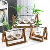 Terrarium Creative Hydroponic Plant Transparent Vase, Wooden Frame, Glass Tabletop, Bonsai Decor, Flower Vase