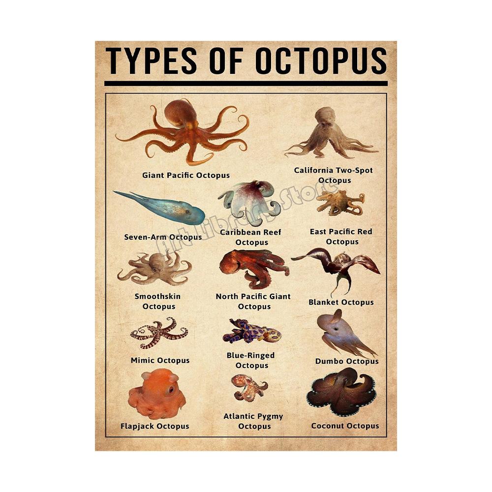 Retro Types of Dragon,Sharks,Octopus,Dinosaur Animals Knowledge Poster Canvas Painting Wall Art Pictures Home School Decor