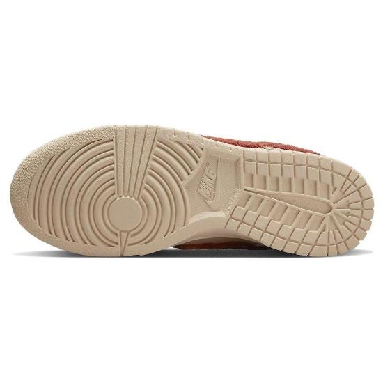 Nike Dunk Low Terry Swoosh Women Sneakers DZ4706-200