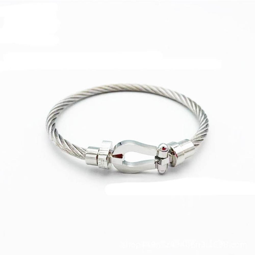 Stainless Steel Horseshoe Bracelet Braided Bangles Simple Magnet Clasp  Men