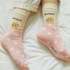 Tägliche Socken Sonntag_Chunshik