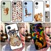 Cartoon Animal Squirrel Case For Honor X8b X9b X9a X8a X8 X9 X9c 50 70 90 Lite Honor 200 Pro Magic 7 5 6 Lite Cover