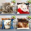 Décoration d'intérieur Mignon Chatons Motifs Taie d'oreiller pour Décoration d'intérieur Housse de coussin à motifs Adaptée pour Canapé Chambre Voiture Housse d'oreiller