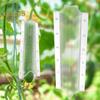 Cucumber Shaping Mold Reusable Transparent Plastic Garden Vegetable Growing Molds Easy-to-use Vegetable Cultivation Mold for Cucumber Tomato Carrot