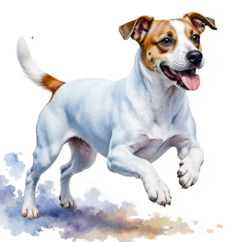 QT2430#15cm White & Brown Jack Russell Terrier with Expressive Eyes & Tongue Out Car Sticker for Laptop, Truck,Motorcycle, Window