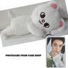 Stray Kids SKZOO Plush Bag celebrATE ( with POB from FANS)