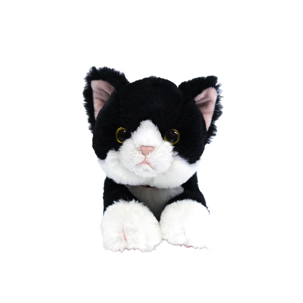 Sun Lemon Schoß 11 x 29 x 12 Plüsch Erneuerung Niedliche Katze, Hachiware, SS, cm, Spielzeug, Edition, Tier, Katze, P-1503