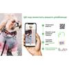 Leuchtendes wasserdichtes Hundehalsband WAUDOG Waterproof mit QR-Pass, 
