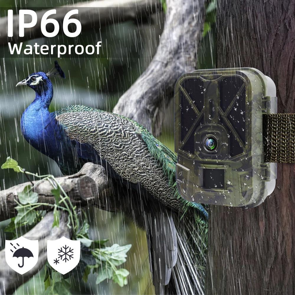 2025 Caméra de Chasse WiFi 4K 30MP Streaming en Direct APP Bluetooth Caméras de Chasse Avec Batterie Li-ion 10000mAh Vision Nocturne WiFi940PROLI