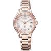 XC EC1164-53W